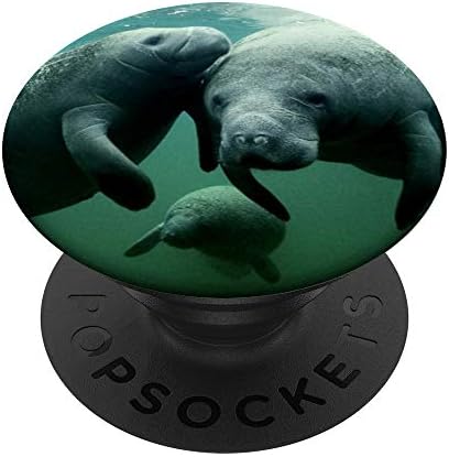 Denizayısı Ailesi Deniz İneği Memelileri Koruma Fotoğrafı PopSockets PopGrip: Telefonlar ve Tabletler için Değiştirilebilir Kavrama